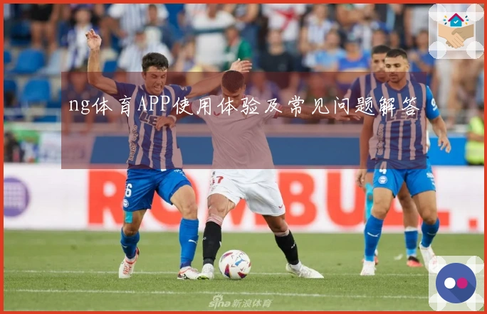 ng体育APP使用体验及常见问题解答